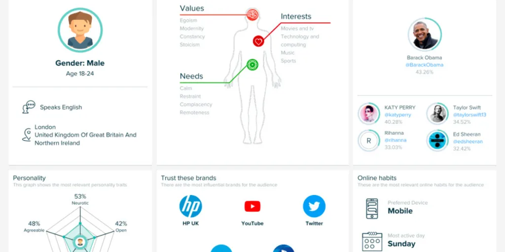 Detailed customer persona showing demographics, values, and online habits, used to refine branding strategy Gold Coast campaigns.